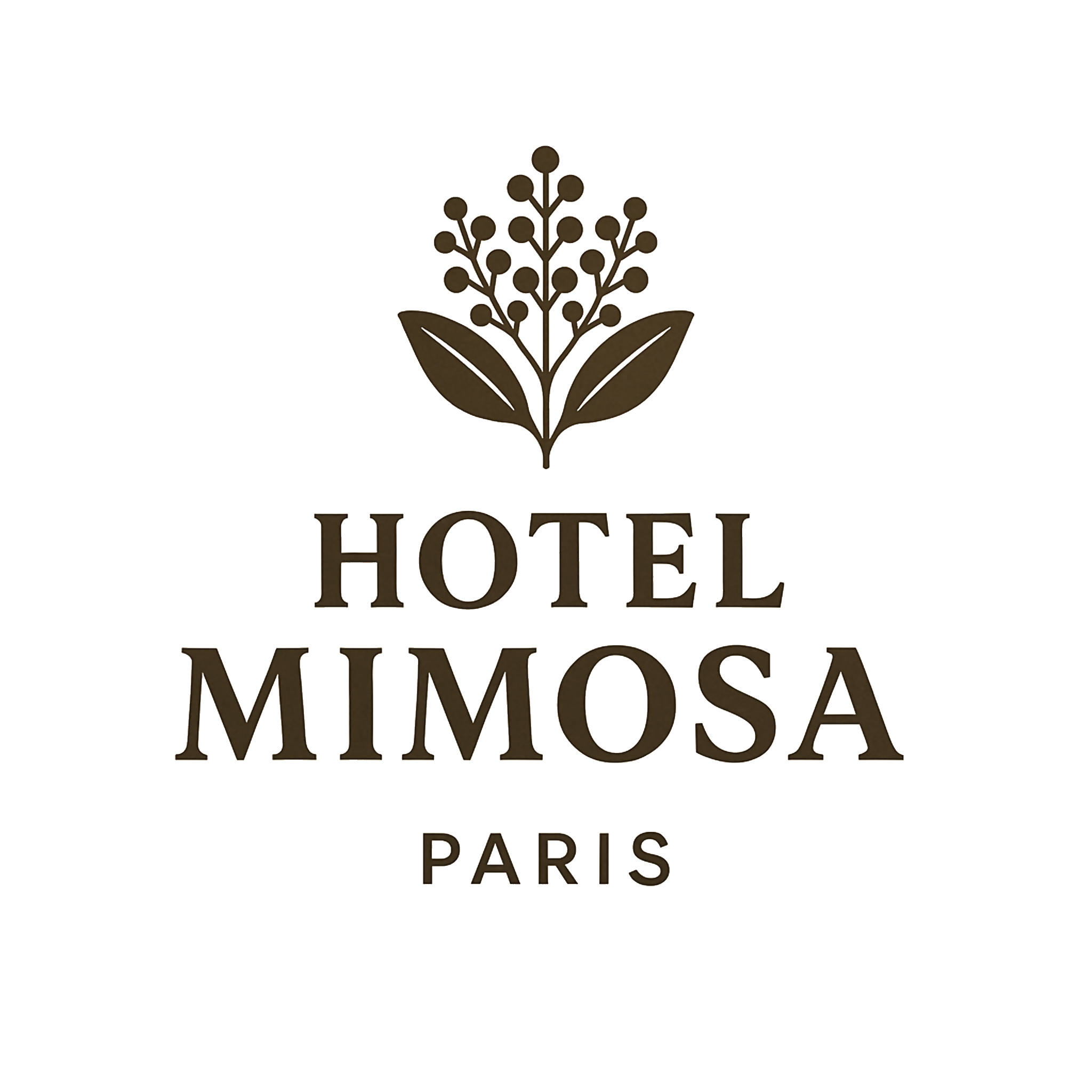 Hôtel Mimosa