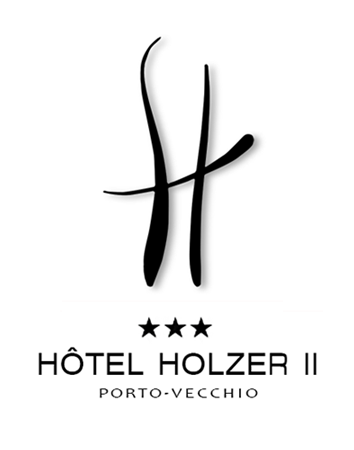 Hôtel Holzer