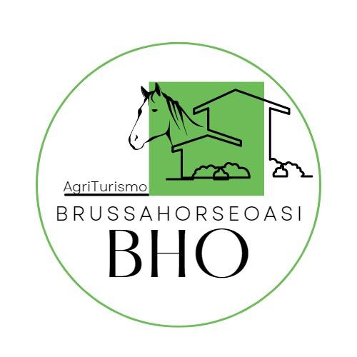 Agriturismo Brussa Horse Oasi