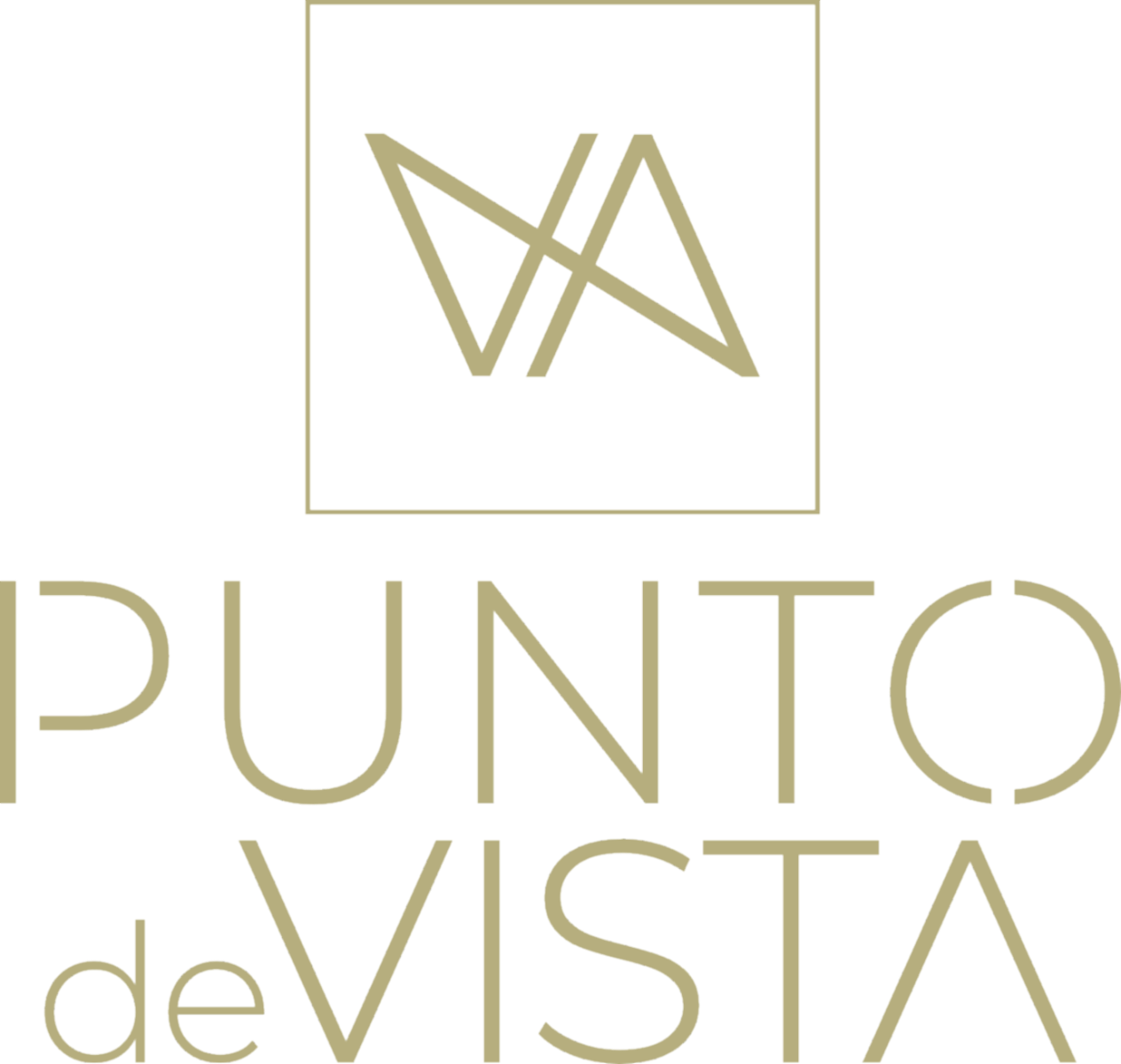 Punto De Vista