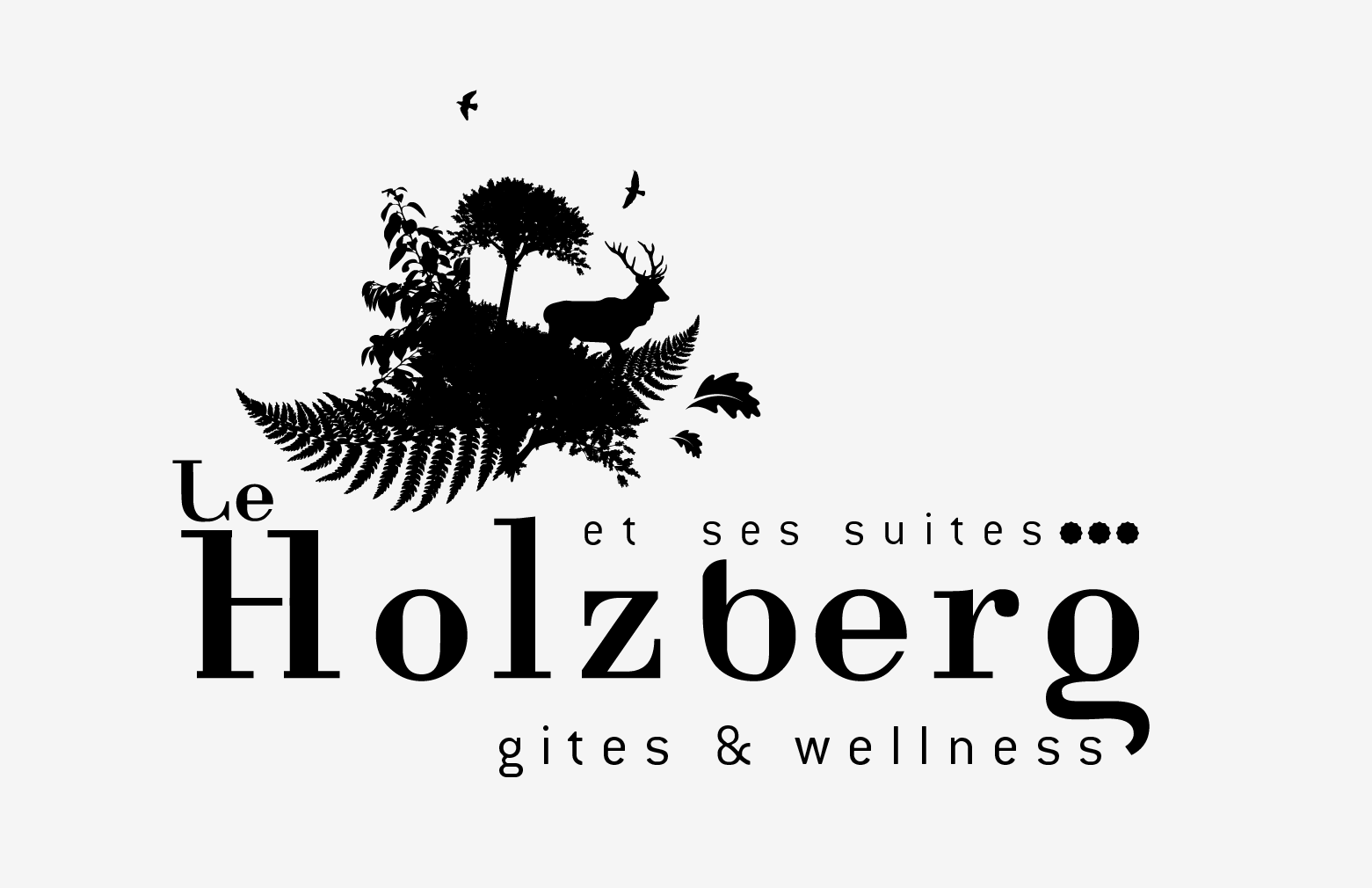 Le Holzberg et ses Suites