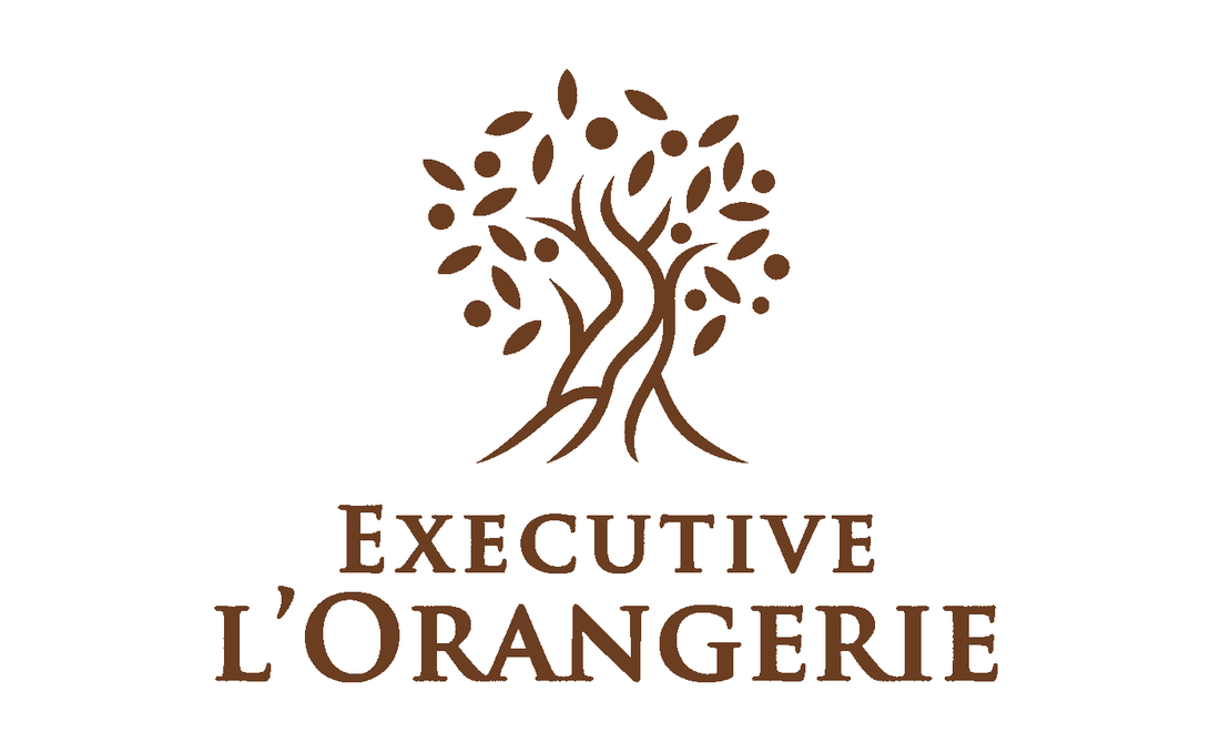 Bed & Breakfast Executive l'Orangerie