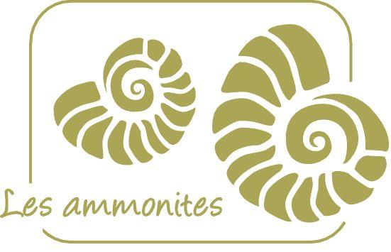 Riad Les Ammonites