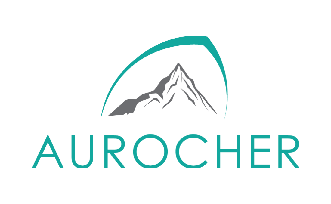 Aurocher
