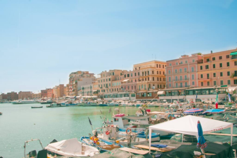 Central Holiday House