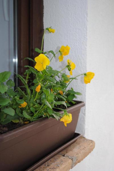 Estudio 8 - Cigarral De La Peraleda