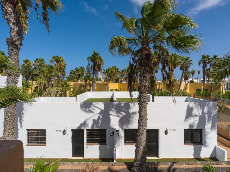 Astarita Palms 2 Fuerteventura