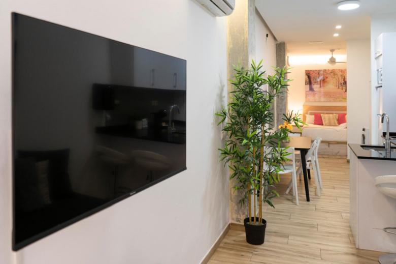 Plaza C. A - Estudio Superior