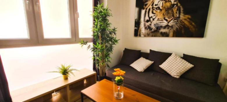 Plaza C. B - Apt 1 dormitorio Superior