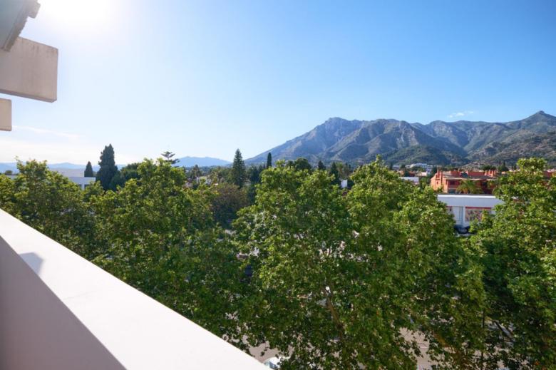 Palm Dream Marbella - EaW Homes 