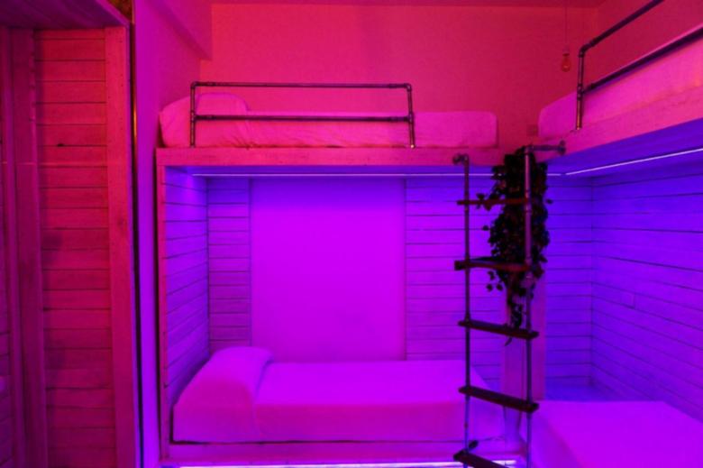 My Tiny Home Evoluzionismo