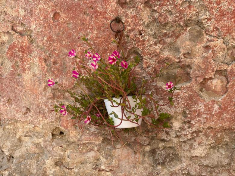 Dimora Burrafato 2 storica residenza sul lungomare