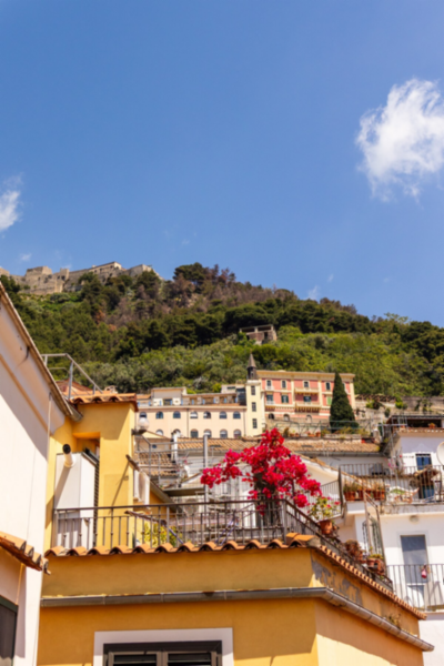 Lovely Salerno