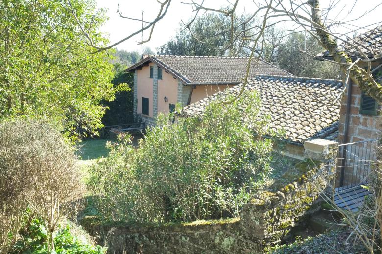 Montecasciano Girasole