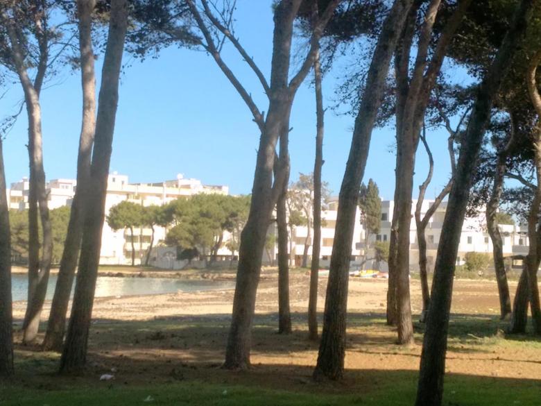 Frontemare Carlo