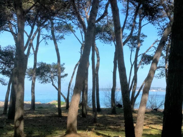Frontemare Carlo