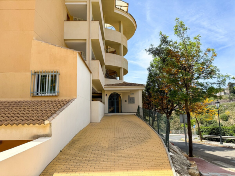 El Dragón del Pilar - Turistea