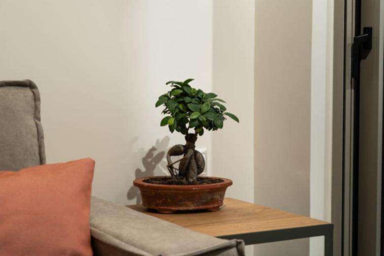 D5. Superior Maisonette Suite with Balcony
