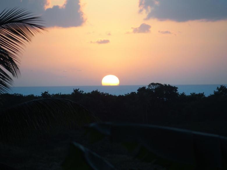 Bougainvillier - Combava