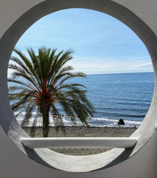 Ocean Living II Puerto Banus - EaW Homes