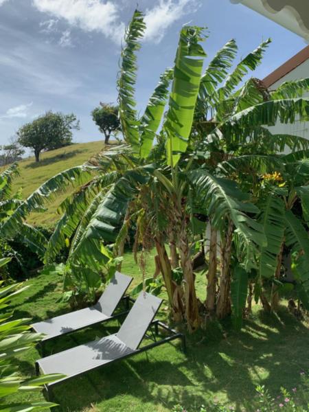 Guest-House B2