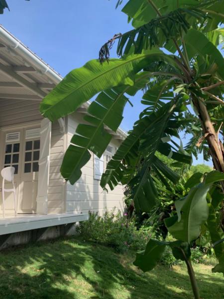 Guest-House B2