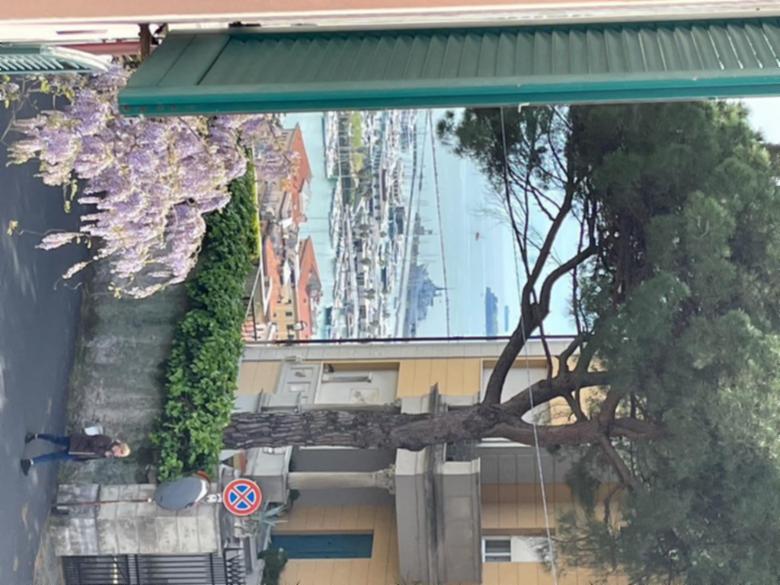 Tiziana's Holiday House 