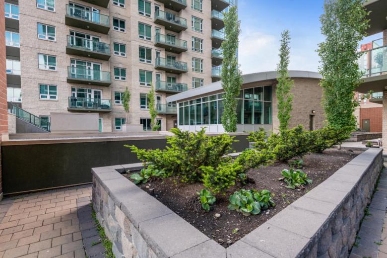 Calgary. 1410 1St Street SE. Sasso