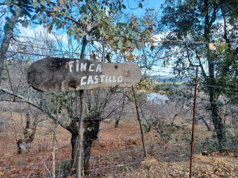 Casa Rural Castillo JABUGO