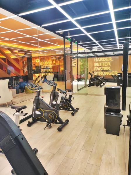 XOE f2 Estudio Oriental