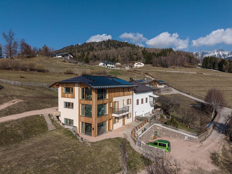 Nest Family, Bedollo Ospitar