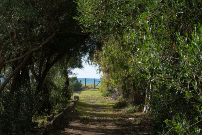 Casa verde mare 1 