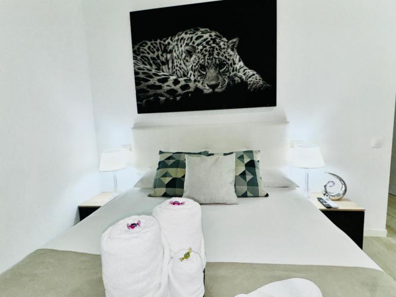 Suite adaptada 5 Torres