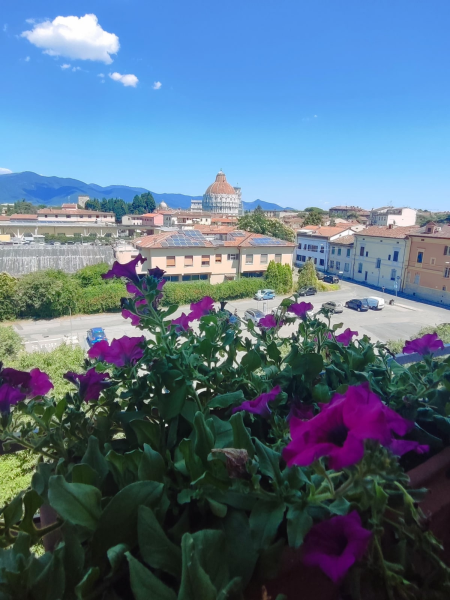 GuestHouse dei Fiori