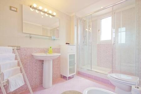 On the roofs ti Piazza San Marco Venezia