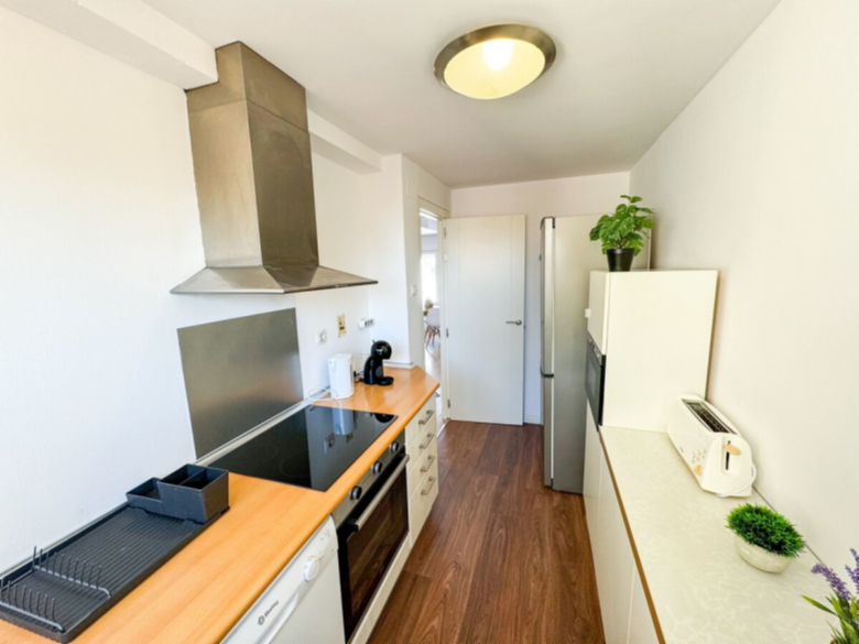 El Halcon del Pirineo ComoTuCasa