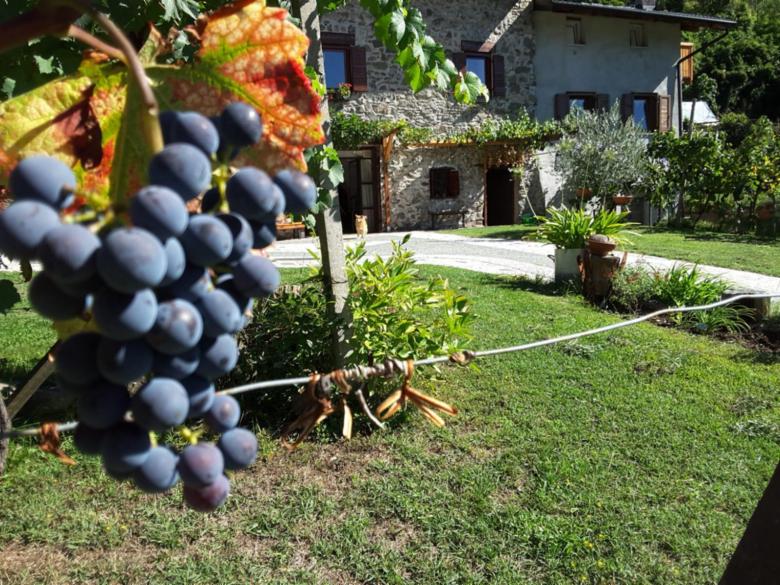 B&B Al Canevet, Pergine Valsugana Ospitar