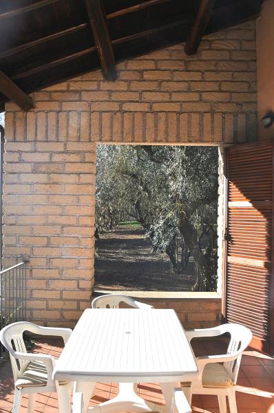 Montecasciano Ciclamino